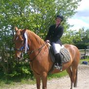 Anden særlig race Pilgrim - tidligere part