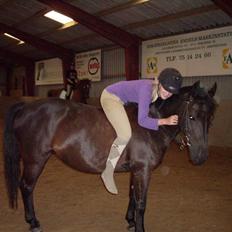 Anden særlig race Luna 