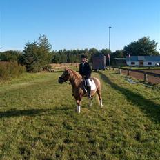 Anden særlig race lone<3 R.I.P.