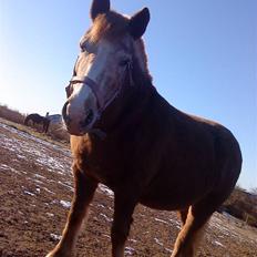 Anden særlig race lone<3 R.I.P.