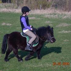 Anden særlig race Olga *solgt*