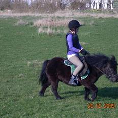 Anden særlig race Olga *solgt*