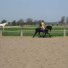 Frieser Sina vom Schifferhof