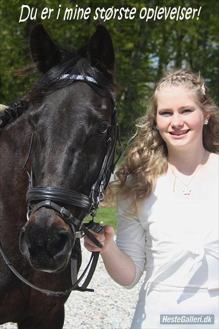 Anden særlig race Prins <3 - Billede nr.: 18* Til konfirmationen <3<3 billede 14