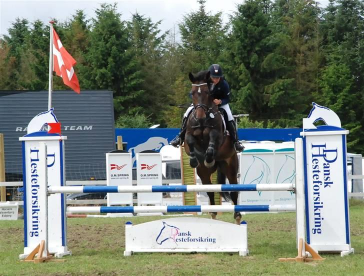 Westfaler Cincinnati billede 12