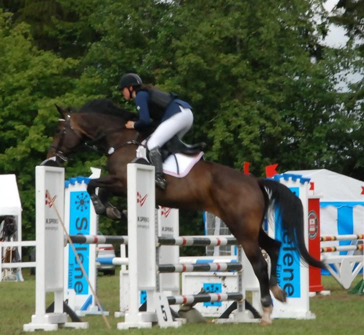 Westfaler Cincinnati billede 13