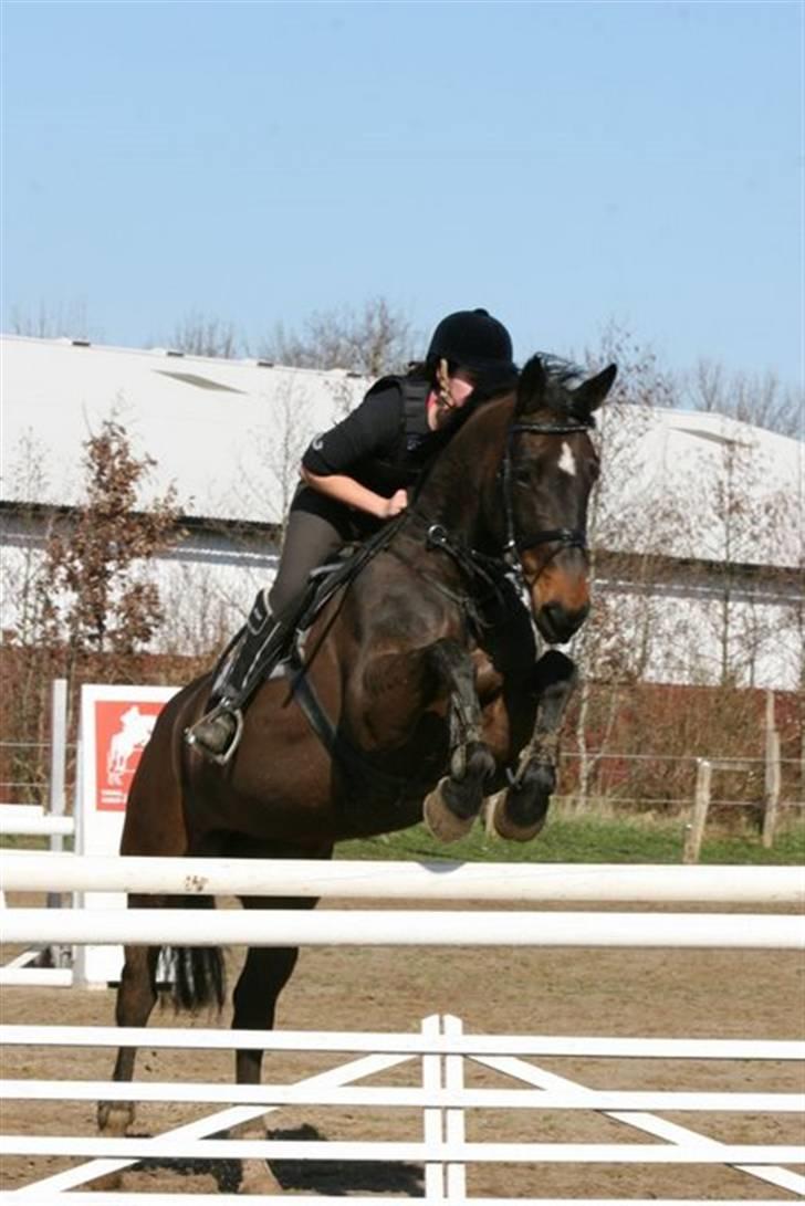 Westfaler Cincinnati billede 14