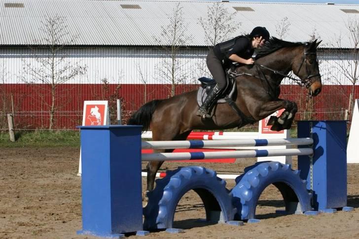 Westfaler Cincinnati billede 15