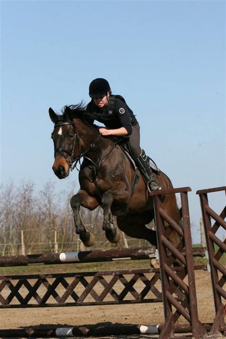 Westfaler Cincinnati billede 17