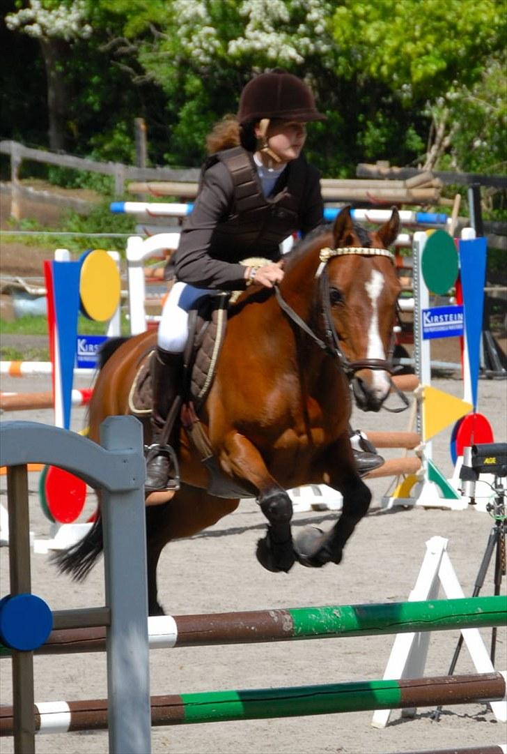 Anden særlig race Foxy Lady - La på egene, nr. 6 billede 18