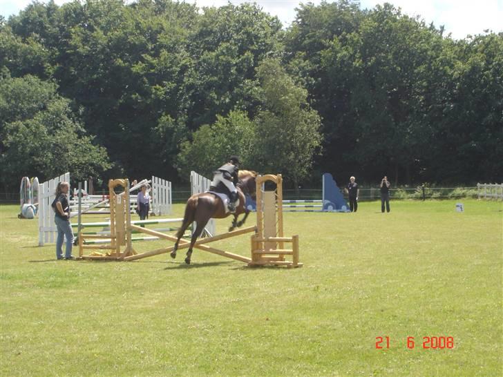 Welsh Pony (sec B) Avalon - 2008 første stævne ammen <3 billede 4