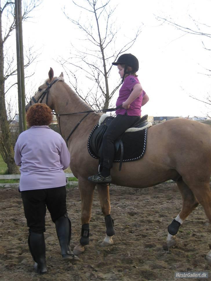 Palomino Kingo  - min datter og kingo ( emma s) billede 16