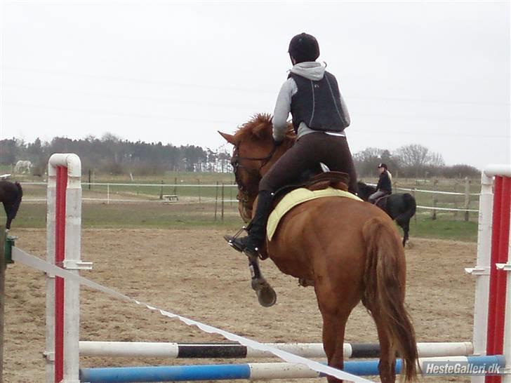 Frederiksborg Bibi  (Solgt) - bibi og jeg der springer . billede 8
