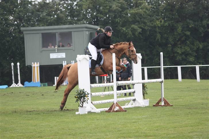 Anden særlig race Strejfer  - 4´er stævne på SLR  billede 18