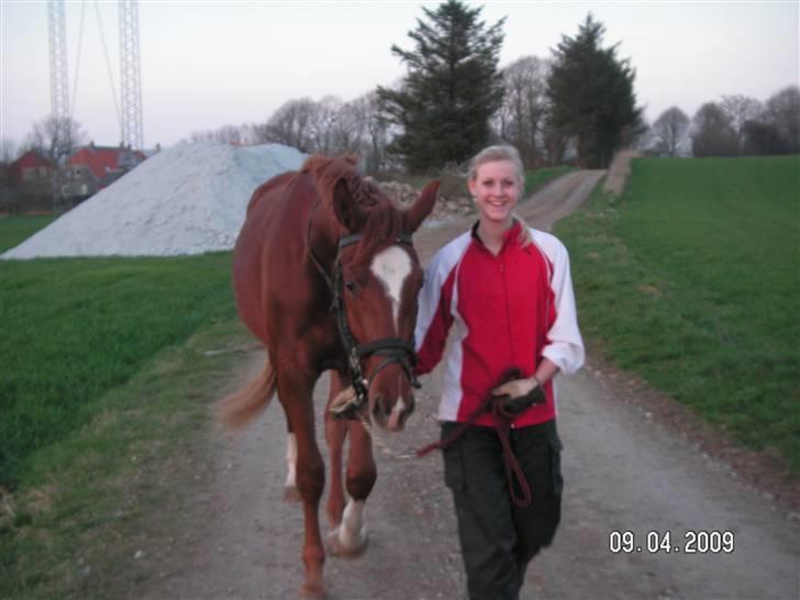 Hannoveraner Dacabri - ude at gå tur ;* elskerdig billede 15
