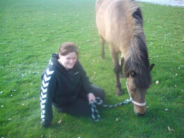 Islænder Kveikja  - To som nyder hinanden selvskab  billede 6