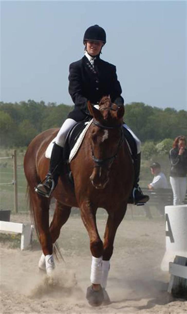 Dansk Varmblod {Rositta <3} SOLGT - - Stævne :) 2 plads .  Lb1 med 160 point :) <3 svarende til 59.26% billede 17