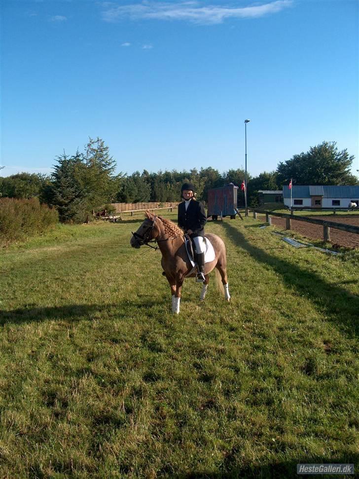 Anden særlig race lone<3 R.I.P. - der er kun en som dig skat<33 billede 1