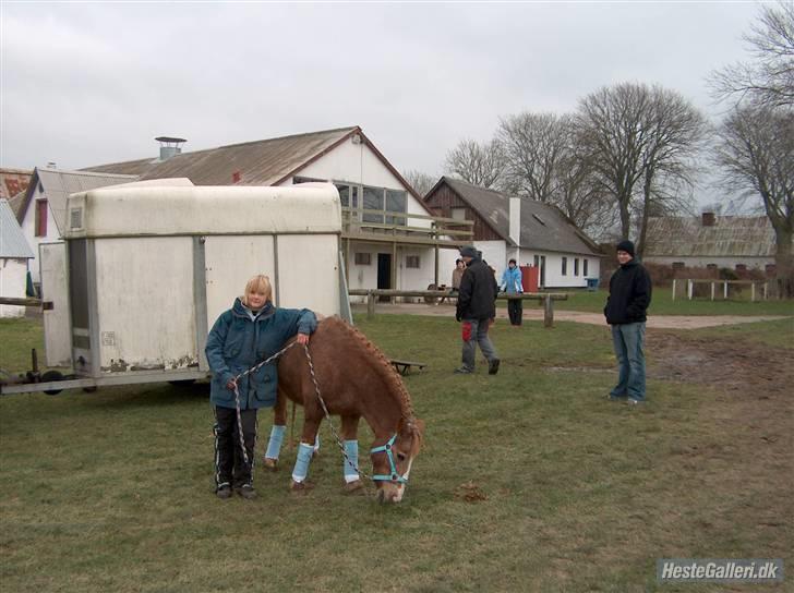 Anden særlig race lone<3 R.I.P. - den tur der betyder så meget:) billede 6