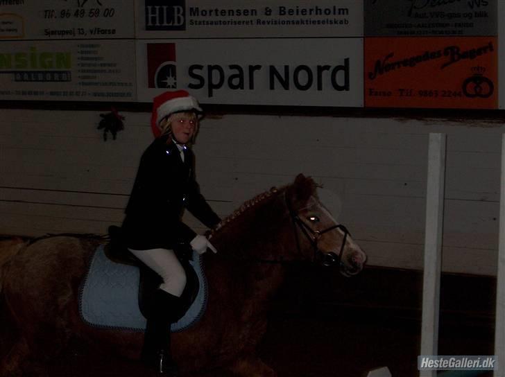 Anden særlig race lone<3 R.I.P. - din første lb jeg vil aldrig glemme dig<3 billede 7