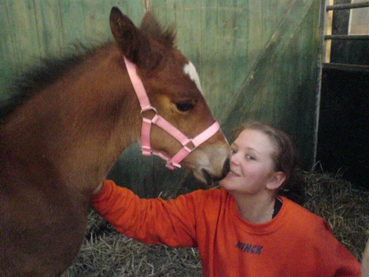 Anden særlig race Eclipse of the Moon SOLGT billede 15