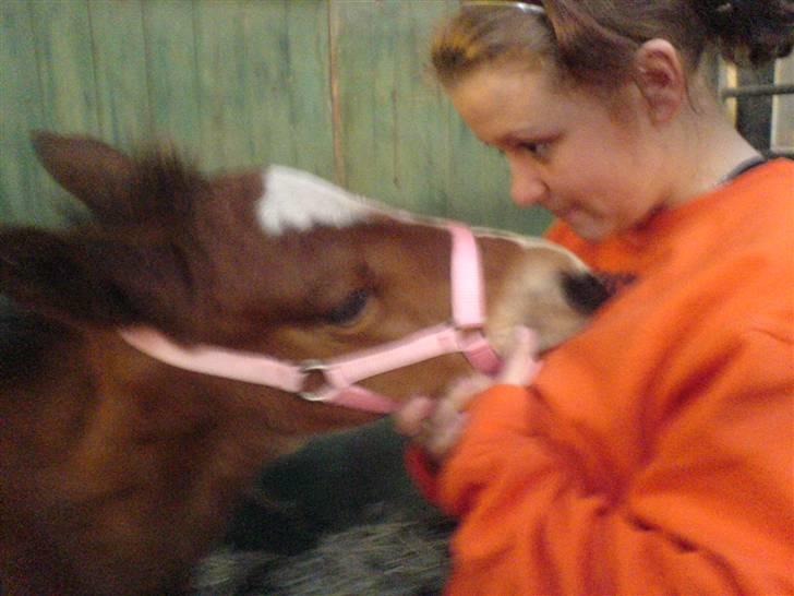 Anden særlig race Eclipse of the Moon SOLGT billede 16