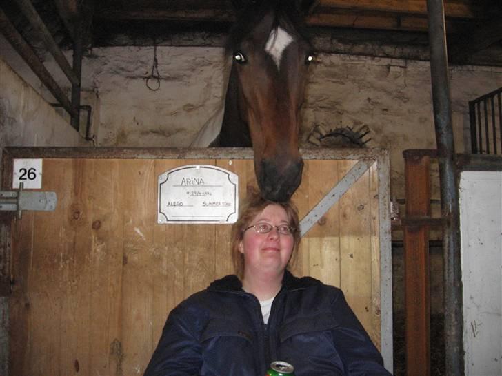 Pinto Arina R.I.P. 10/12 2009 - mums hovedbunds massage - ikke dårligt! billede 9