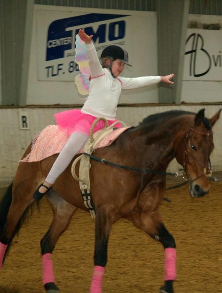 Anden særlig race Penelope <3 (mors) - Velkommen til Penny´s profil :D Giv en bedømmelse og læg en kommentar - tak :D foto: Erik billede 1