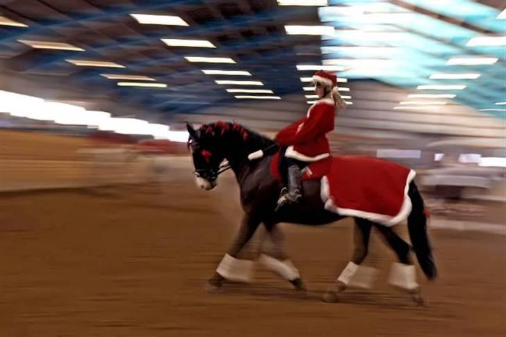 Anden særlig race Buzzio (udtales Bosjo) - juleshow <3 var den forreste  - foto: JyskeVestkysten (avisen) billede 7