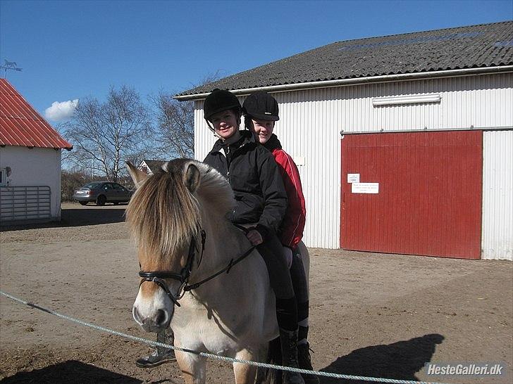 Fjordhest Oskar *Solgt* - De to bedste i mit liv :-* ingen jer, ingen mig. billede 15