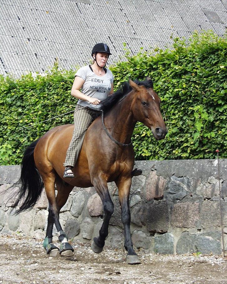 Anden særlig race Flying Allegro (R.I.P) - Kun med coredo :o) billede 17