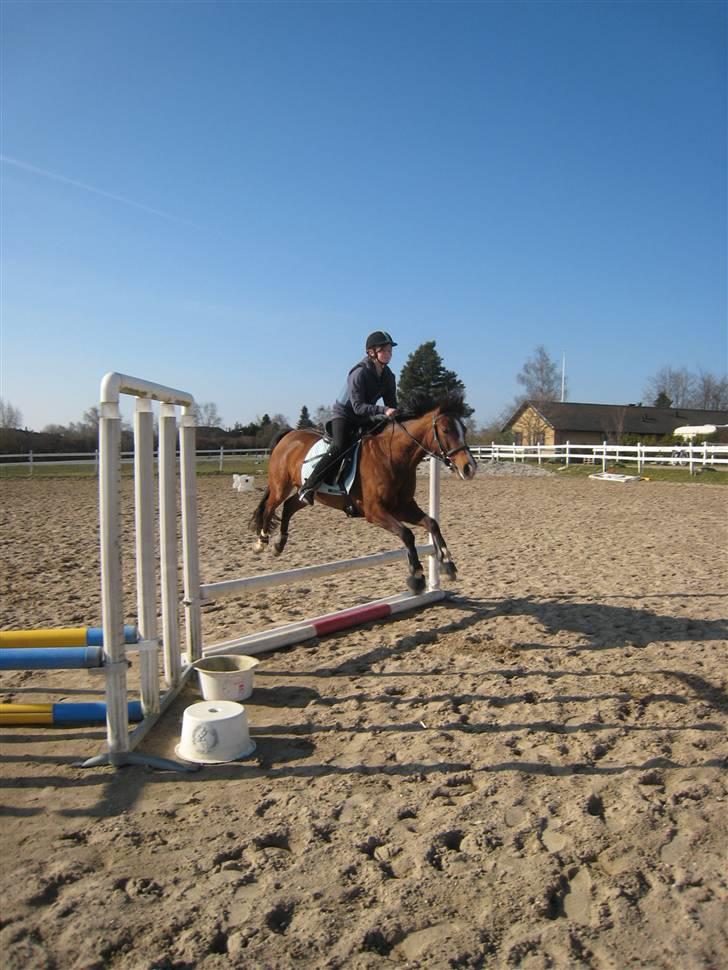 DSP Firhøjs Bjanca *mit'alt* - livet handler ikke om at finde en man kan leve med, men en man ikke kan uden. jeg kan ikke leve uden dig <3 billede 3