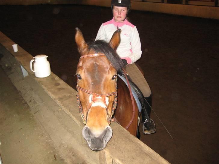 Anden særlig race Penelope <3 (mors) - er du måske lidt træt Penny ???? billede 10