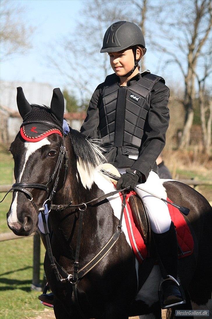 Hollandsk Sportspony Kees * SOLGT* - my lover, my life :* billede 6