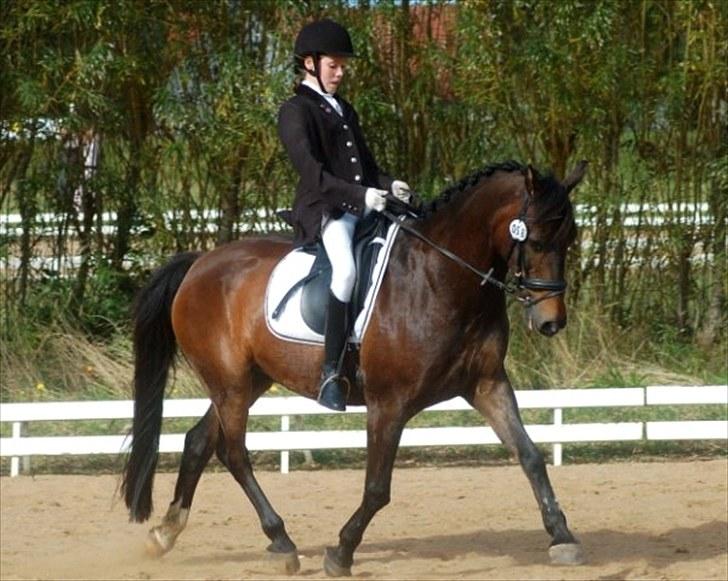 Anden særlig race Bakkelys Felur *Solgt* - Taget af Louise Mølby :D billede 11