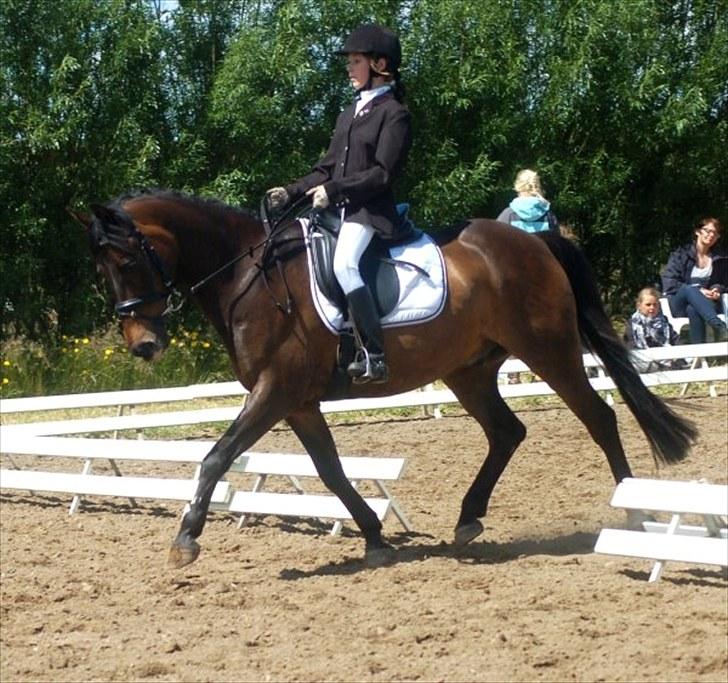 Anden særlig race Bakkelys Felur *Solgt* - Taget af Louise Mølby :D billede 12