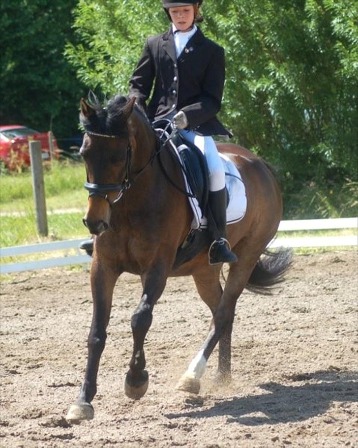 Anden særlig race Bakkelys Felur *Solgt* - Taget af Louise Mølby :D billede 13