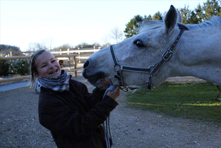 Anden særlig race Nicole - Nysgerrig? - april 2009 billede 17