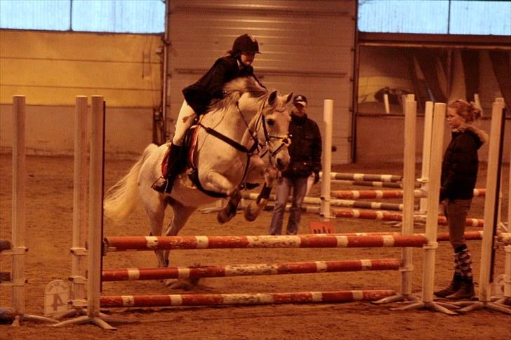 Anden særlig race Nicole - LD på VEK (: - april 2010 billede 19