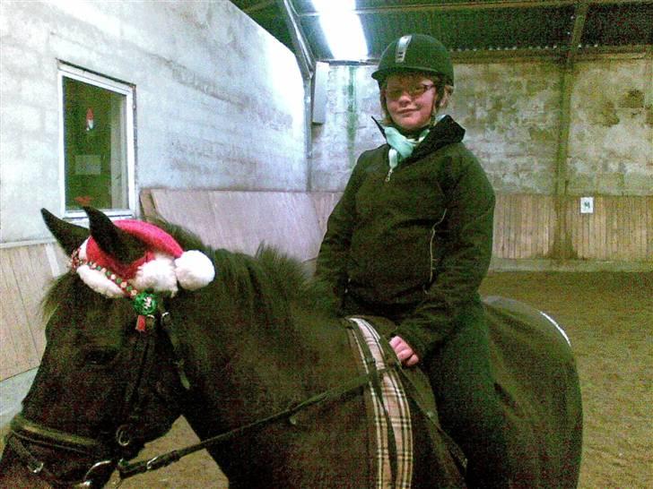 Anden særlig race Kila´s Sambo (SOLGT) - efter en go ride tur billede 4