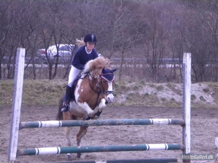 Anden særlig race Pinocchio *SOLGT /':* - På LTR.. Opvarmning billede 13