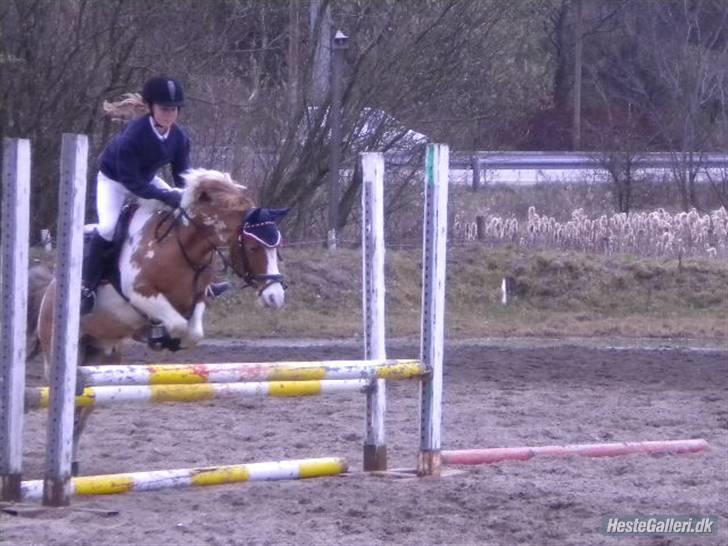 Anden særlig race Pinocchio *SOLGT /':* - På LTR.. Opvarmning billede 14