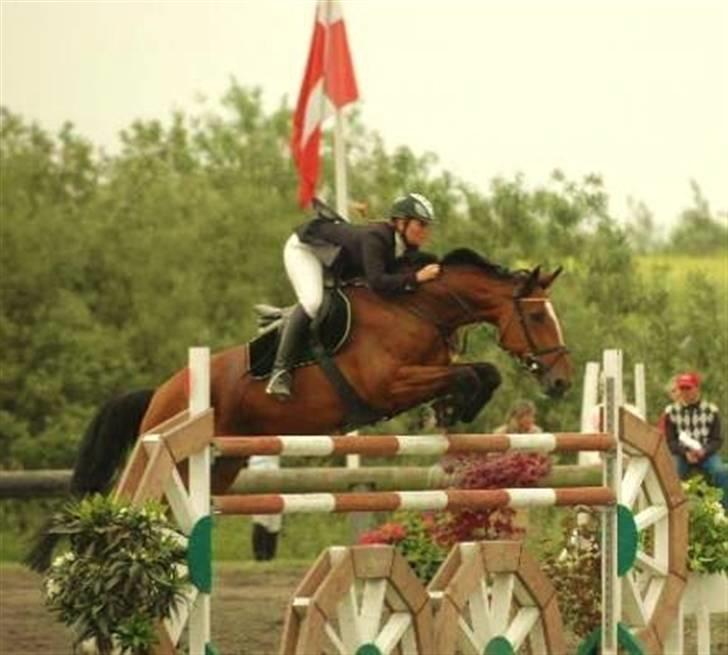 Hollandsk Varmblod Pyroet  billede 10