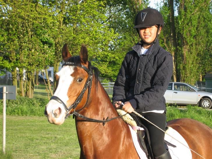 Anden særlig race Ofelia (Ofi) billede 5