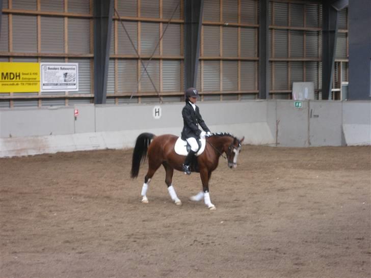 Anden særlig race Ofelia (Ofi) - Til et andet stævne på HVR. billede 13