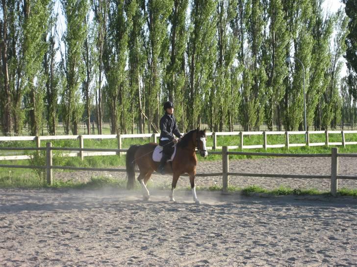 Anden særlig race Ofelia (Ofi) billede 4