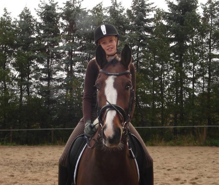 Westfaler Attache <3 *SOLGT* - Fordi vi er SÅ sød sammen! ;D billede 3