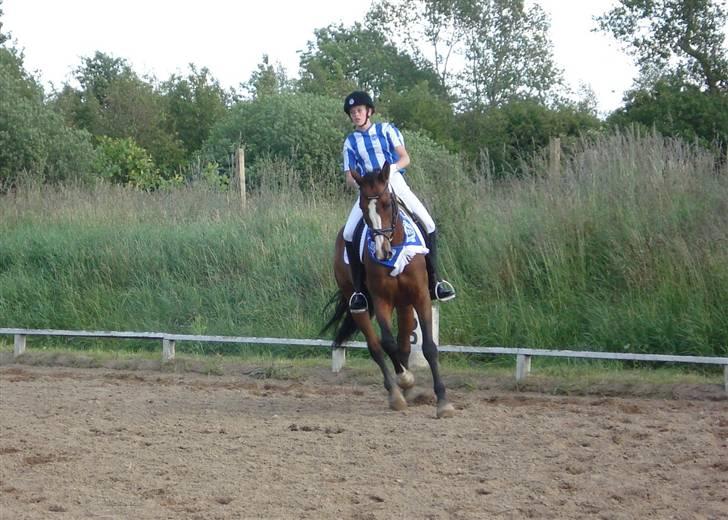 Westfaler Attache <3 *SOLGT* - Fordi vi er OB-fan! billede 5