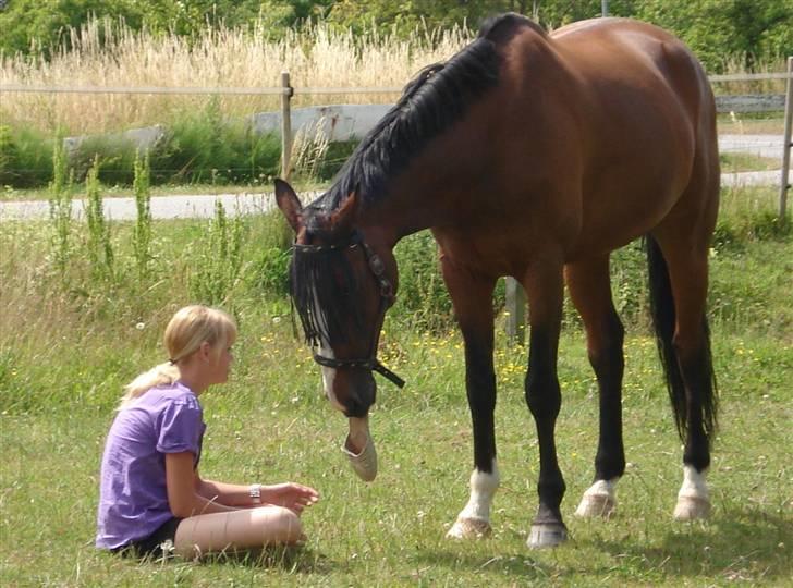 Westfaler Attache <3 *SOLGT* - Fordi han elsker mine sko xD billede 9