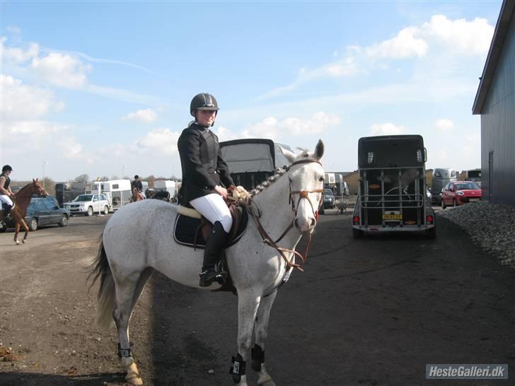 Connemara | Jenny'S Rocket  - Jenny i HDR ;) billede 12